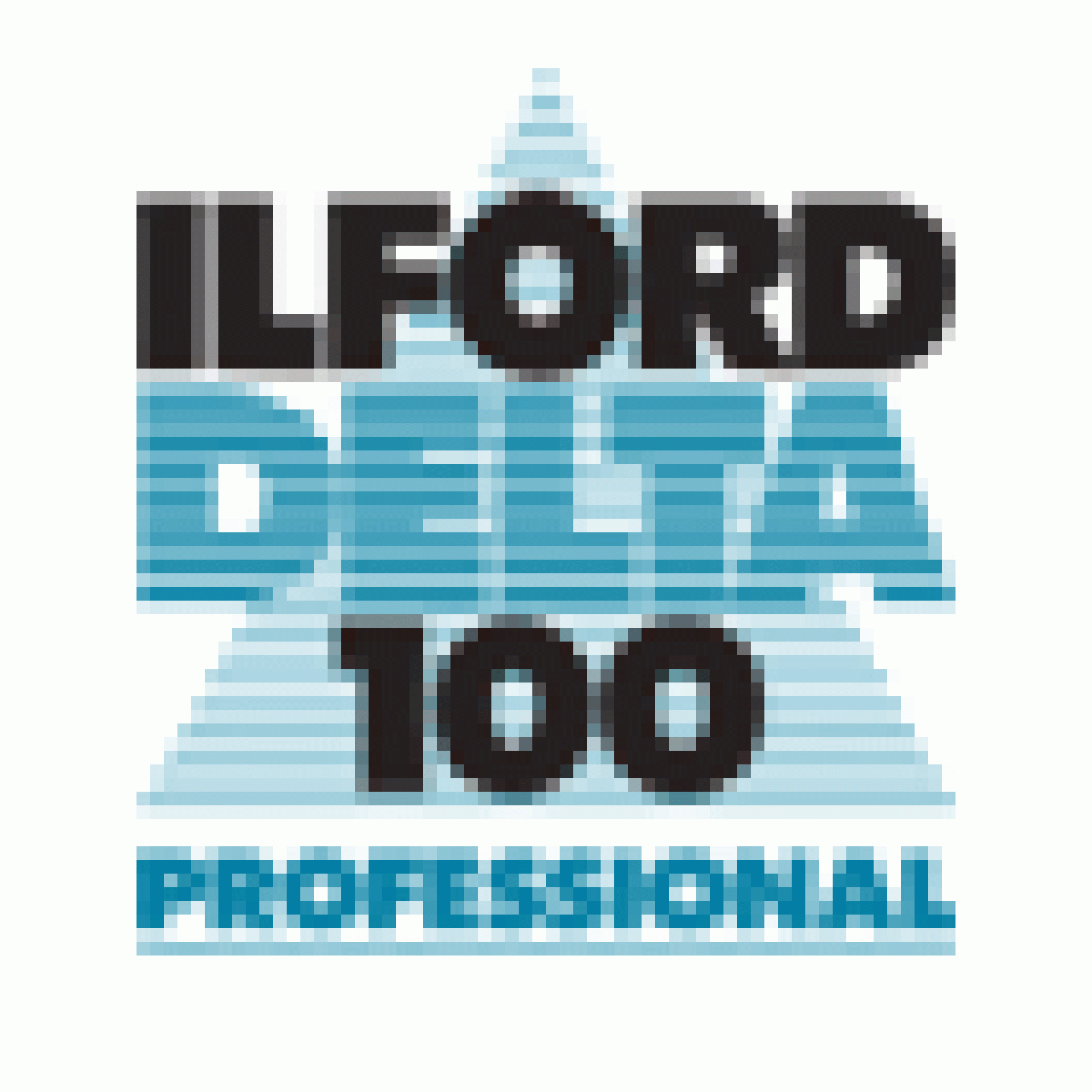 Ilford Delta 100 8X10-25 Sheets